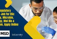 MSD Regulatory Affairs Job For BSc Biology, Microbio, Virology
