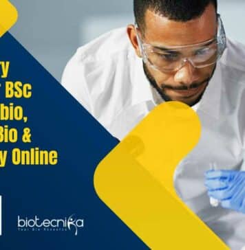 MSD Regulatory Affairs Job For BSc Biology, Microbio, Virology