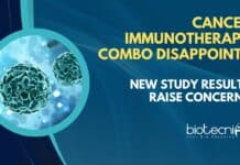 Cancer Immunotherapy combo