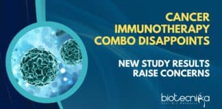 Cancer Immunotherapy combo
