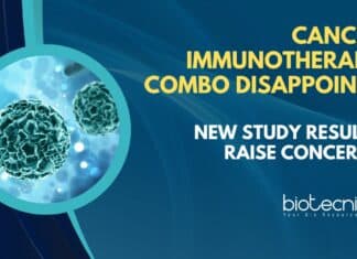 Cancer Immunotherapy combo