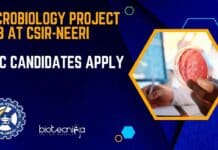 Microbiology Project Job