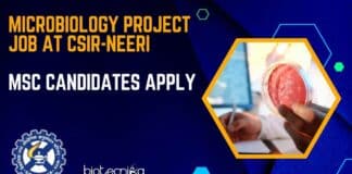 Microbiology Project Job