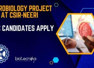 Microbiology Project Job