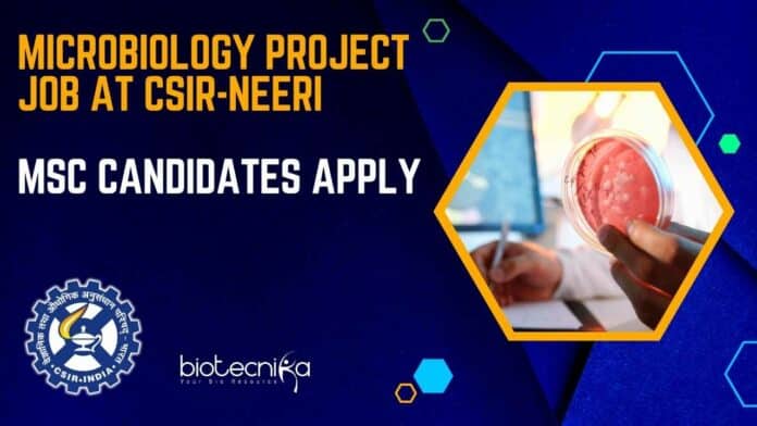 Microbiology Project Job