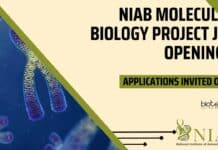 NIAB Molecular Biology Project Job