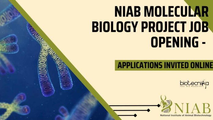 NIAB Molecular Biology Project Job