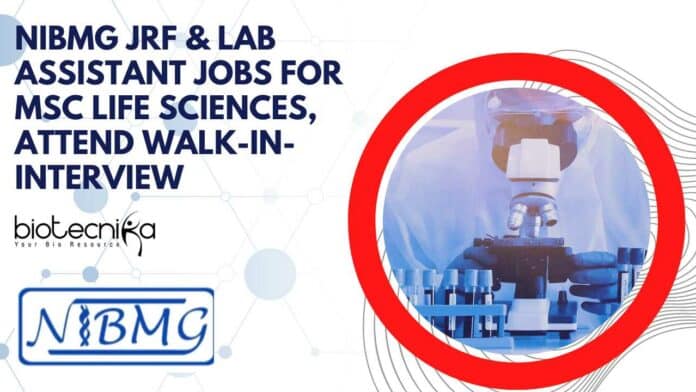 NIBMG Lab Assistant JRF