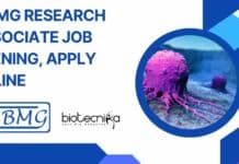 NIBMG Research Associate Job