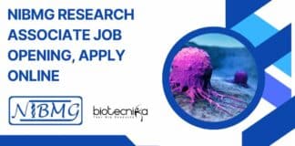 NIBMG Research Associate Job