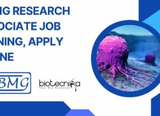 NIBMG Research Associate Job