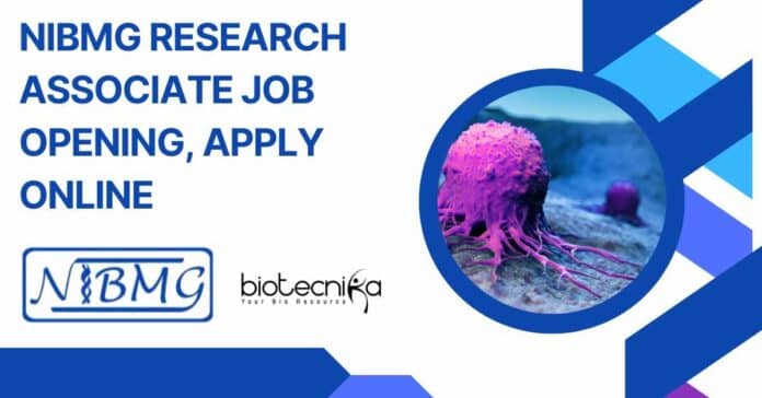 NIBMG Research Associate Job