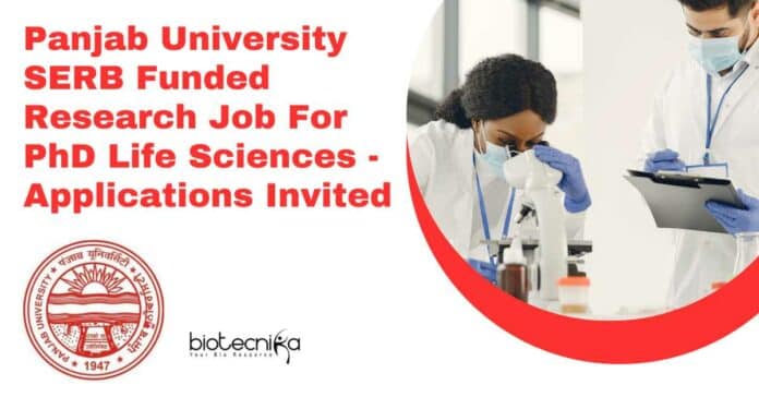 Panjab University PhD RA