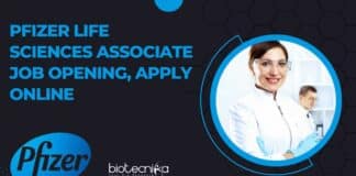 Pfizer Life Sciences Associate