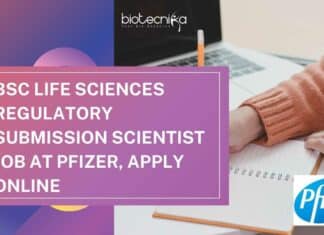 Pfizer Regulatory Submission Scientist
