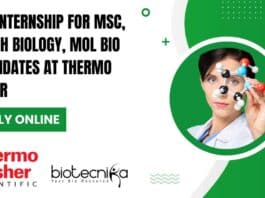R&D Internship For MSc