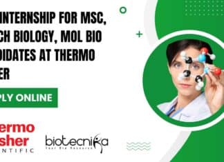 R&D Internship For MSc