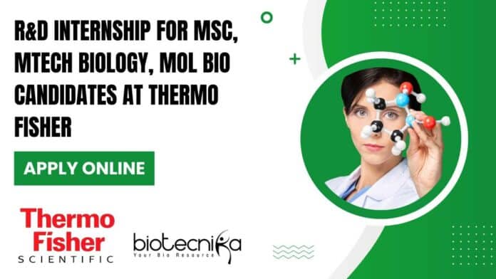 R&D Internship For MSc