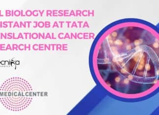 Research Assistant Job at