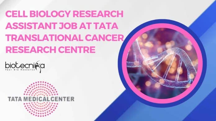 Research Assistant Job at