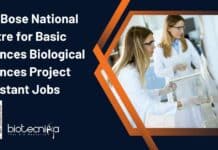 S N Bose Project Jobs