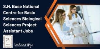 S N Bose Project Jobs