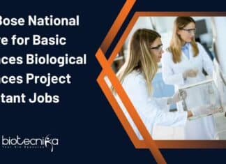 S N Bose Project Jobs