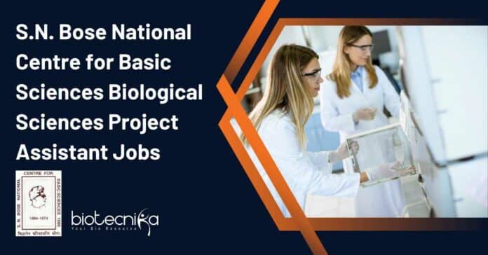 S N Bose Project Jobs