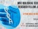 MSc Biological Sciences Research Fellow Job at NII – Attend Walk-In-Interview SRF Vacancy Biological Sciences