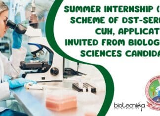 Summer Internship (SSR) Scheme