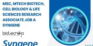 Syngene Research Associate Job