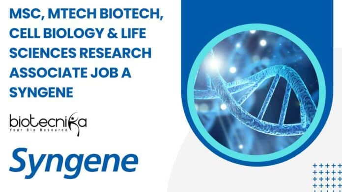 Syngene Research Associate Job