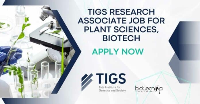 TIGS Research Associate Vacancy
