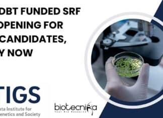 TIGS SRF Job Opening
