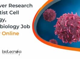 Unilever Research Scientist Cell