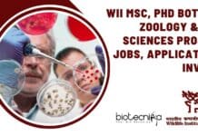 WII Research Positions Open