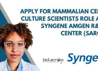 Syngene Bengaluru Cell Culture