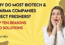 Why Freshers No Jobs