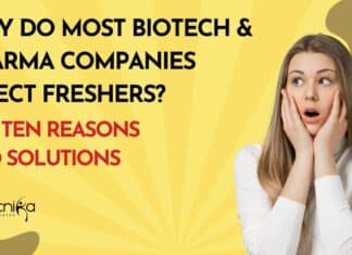 Why Freshers No Jobs
