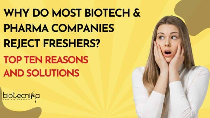 Why Freshers No Jobs