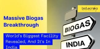 World's Biggest Biogas Facility