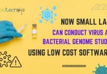 Budget-Friendly Software for Virus