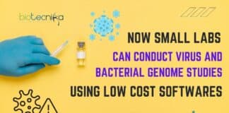 Budget-Friendly Software for Virus