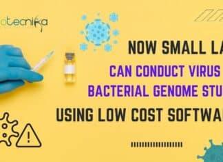Budget-Friendly Software for Virus