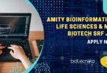 Amity Bioinformatics, Life Sciences & Mol Biotech SRF Job – Apply AIB Amity SRF Job