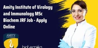 AIV Amity JRF Job