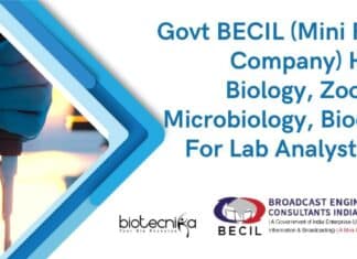 BECIL Lab Analysts Jobs