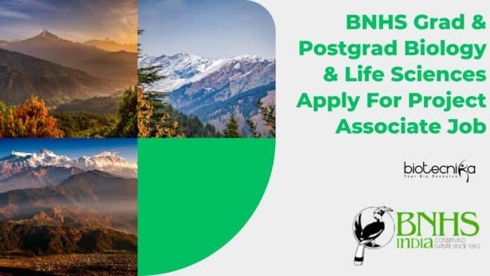 BNHS Project Associate Vacancy