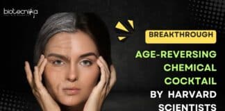 Age-Reversing Chemical Cocktail