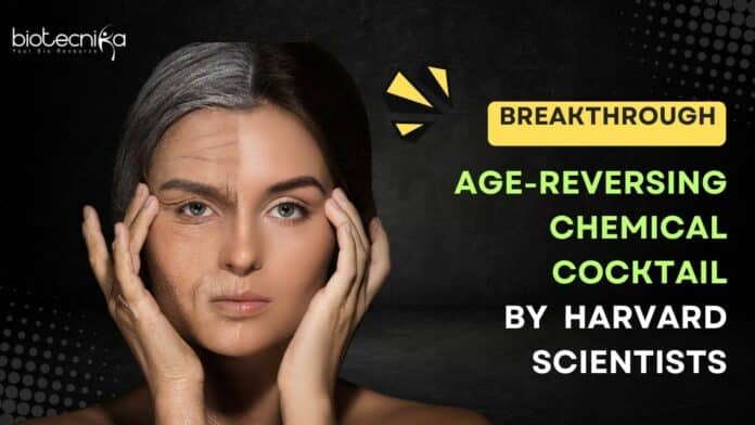 Age-Reversing Chemical Cocktail